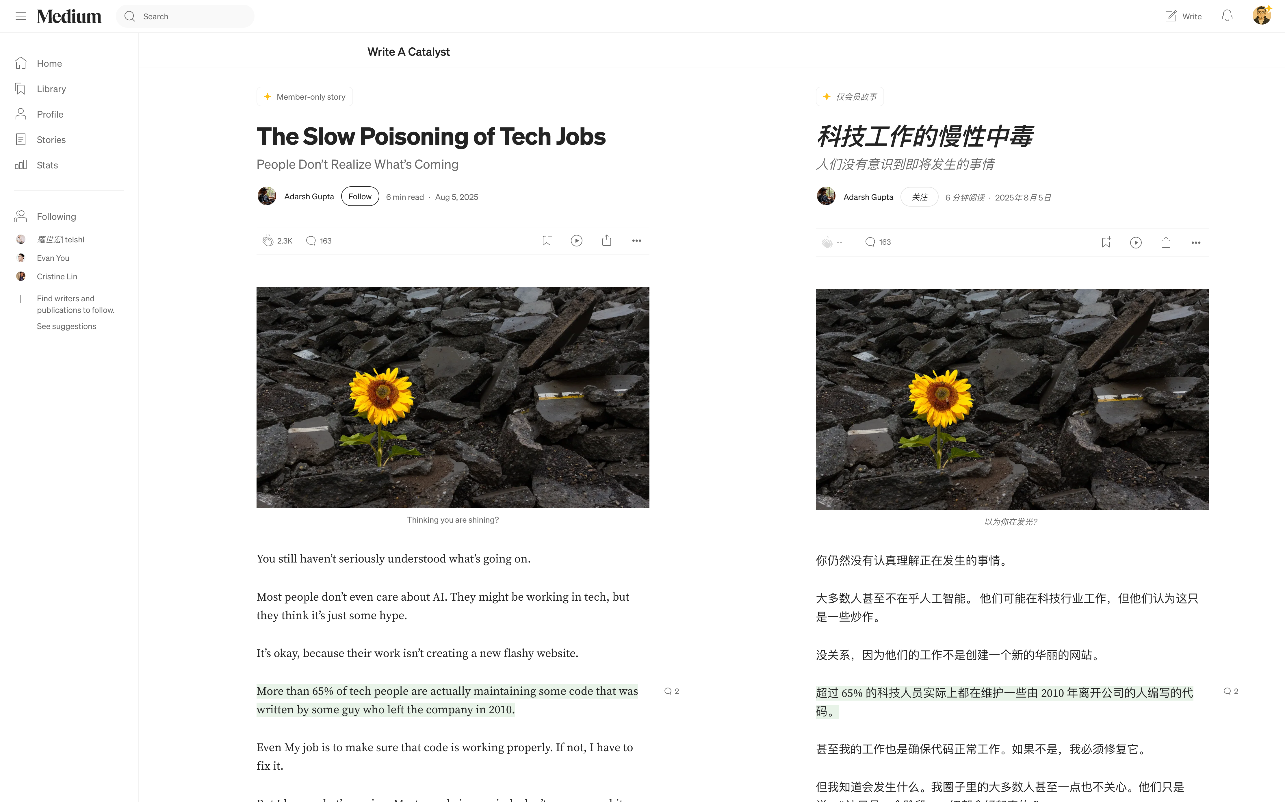 Medium 深度翻译效果示例